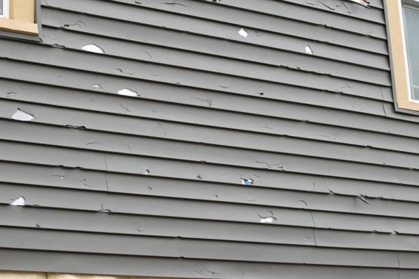 Best Engineered Wood Siding  in Pine Prairie, LA