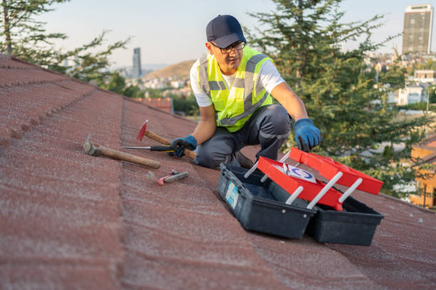 Best Storm Damage Siding Repair  in Pine Prairie, LA