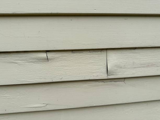 Best Siding Painting and Refinishing  in Pine Prairie, LA